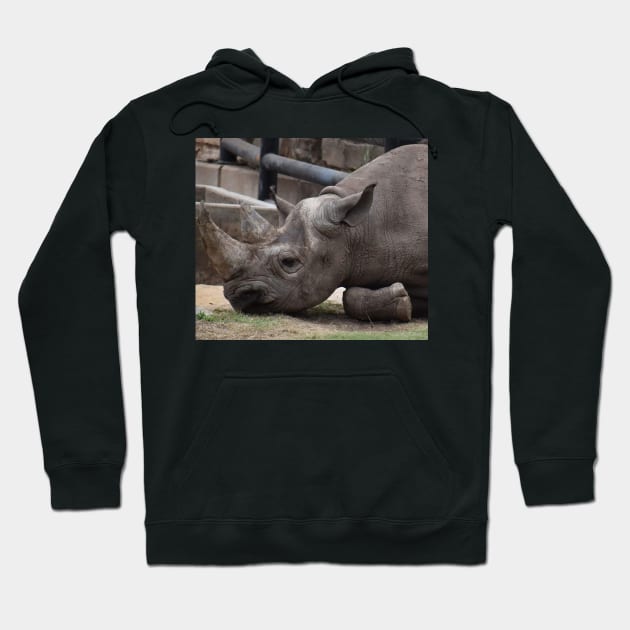 Black Rhino Hoodie by Sharonzoolady